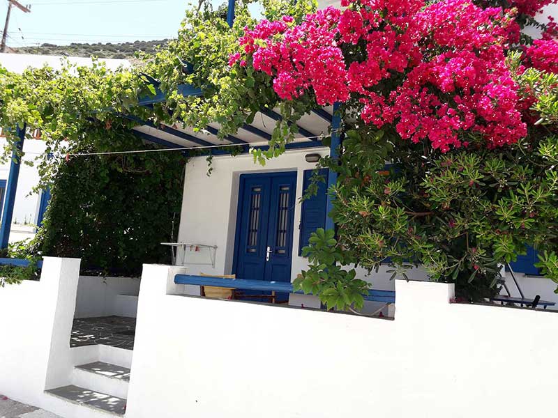 Jardin avec plantes à fleurs dans le studio 5