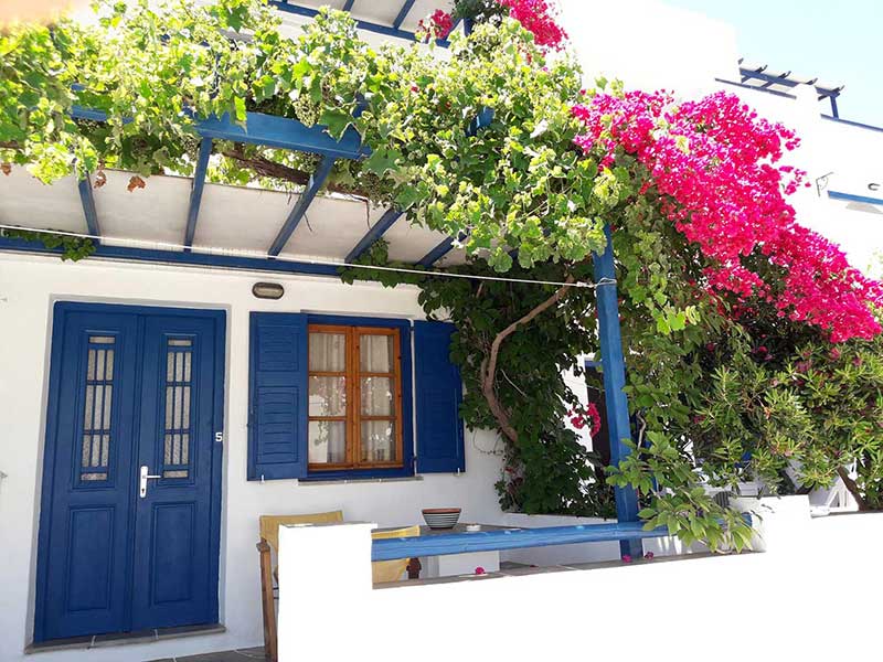 Cour ombragée au studio 5